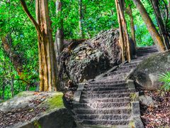 -七仙岭温泉国家森林公园