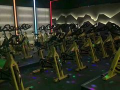 -金吉鸟健身游泳