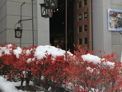 -小樽八音盒堂(手工制作体验馆店)