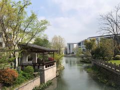 -湘湖金融镇