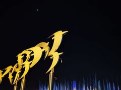 -秋水广场音乐喷泉