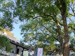 -溪口-滕头旅游景区