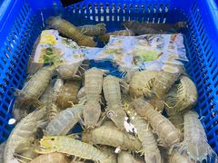 -七鲜渔港美食餐厅(巽寮湾海景店)