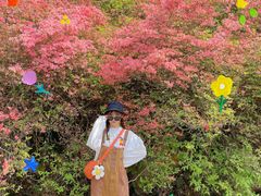 -木兰云雾山