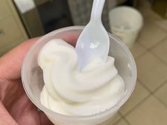 椰子雪糕-洪馨椰子