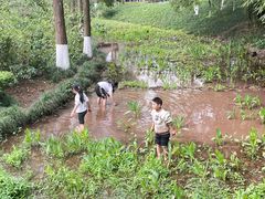 -重庆彩云湖湿地公园