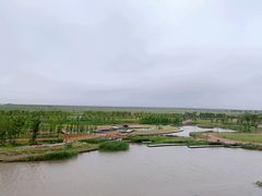 -春花秋色城市公园