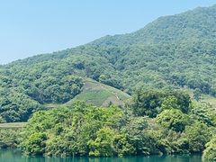 -听风阁农家私房菜茶楼(龙坞店)