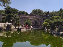 -中国唐苑