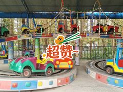 -东平国家森林公园