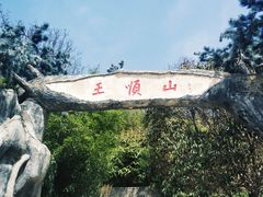 -王顺山国家森林公园