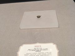 -南越王博物院(王宫展区)