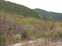 -皇藏峪国家森林公园
