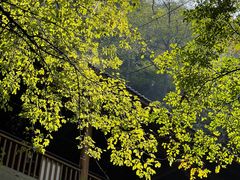 -藏龙百瀑风景区