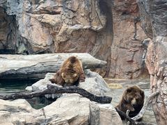 -珠海长隆海洋王国