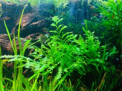 -上海海洋水族馆