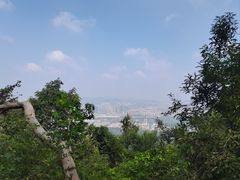 -紫金山山顶公园