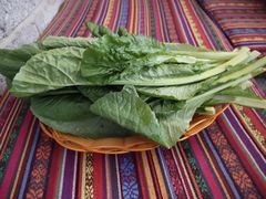 小白菜-她留土特产