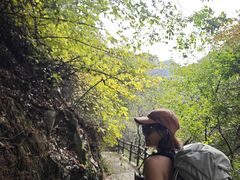 -太平万花山景区