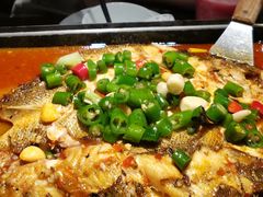 海鲈鱼-炉鱼(萧山万象汇店)