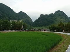 -靖西鹅泉风景区