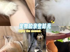 -李小姐の猫咖啡馆(五角场店)