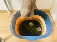-纳吉亚猫专科动物医院·北北分院