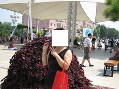 -丁香湖丁香小镇Citypark滑雪公园戏雪嘉年华