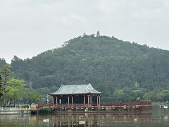-顺峰山公园