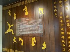 -广东中医药博物馆