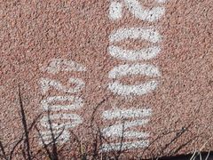 -天津东丽湖风景区