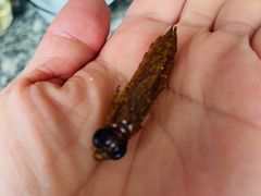 -夏家大锅台炖鱼馆
