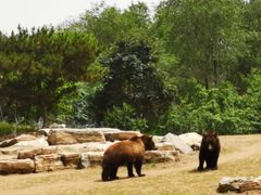 -北京野生动物园