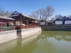 -尚庄度假村·庭台树下·户外烧烤·团建CS·轰趴营地(上庄水库店)