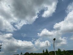 -滇香肴·云南菜蒸汽石锅鱼(云南北路店)