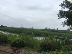 -太湖湖滨国家湿地公园-停车场