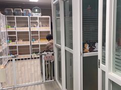 -猫宠乐园·专业洗护