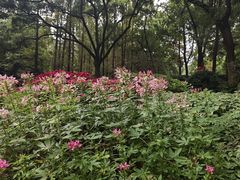 -忠山公园