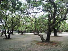 -四海公园(南山区)