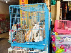 -凌舍好烧鹅(中山路店)