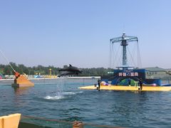 -秦皇岛乐岛海洋王国