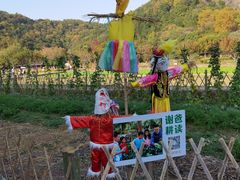 -八卦田遗址公园