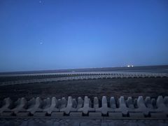 -南汇嘴观海公园