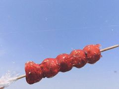 -滆湖低碳生态公园