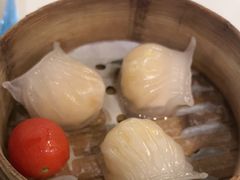 晶莹鲜虾饺-金湖港式餐厅(建外店)