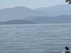 -大理洱海