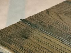 -爱啤精酿·民谣酒馆(滨江店)