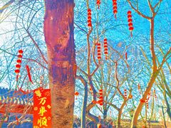 -春风习习