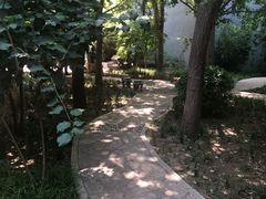 -北京第二实验小学