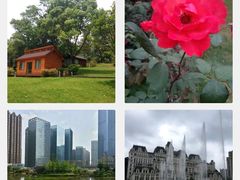 -花果园湿地公园
